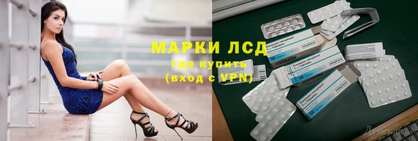 ПСИЛОЦИБИНОВЫЕ ГРИБЫ Кулебаки