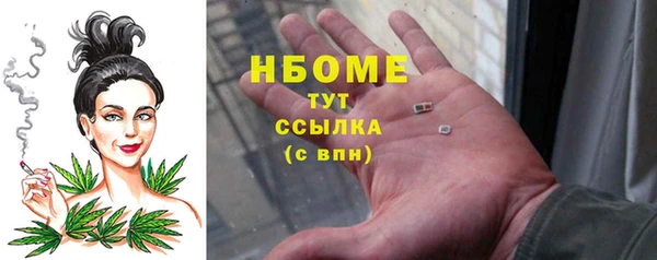 ПСИЛОЦИБИНОВЫЕ ГРИБЫ Кулебаки