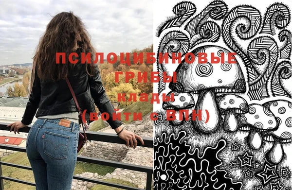 ПСИЛОЦИБИНОВЫЕ ГРИБЫ Кулебаки