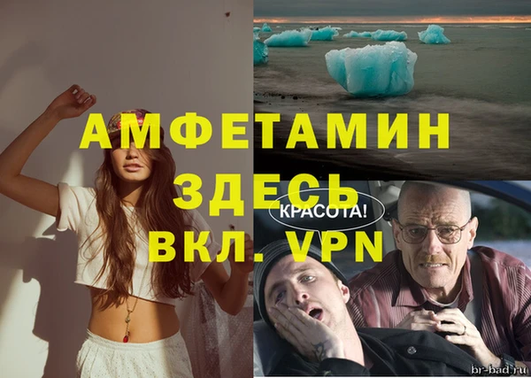 ПСИЛОЦИБИНОВЫЕ ГРИБЫ Кулебаки