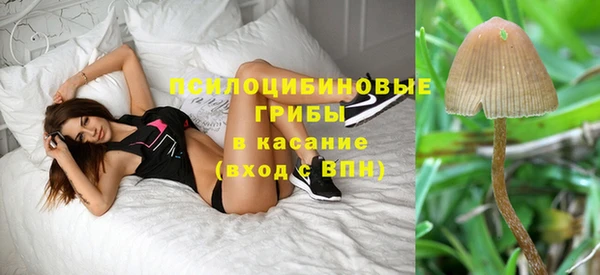 ПСИЛОЦИБИНОВЫЕ ГРИБЫ Кулебаки