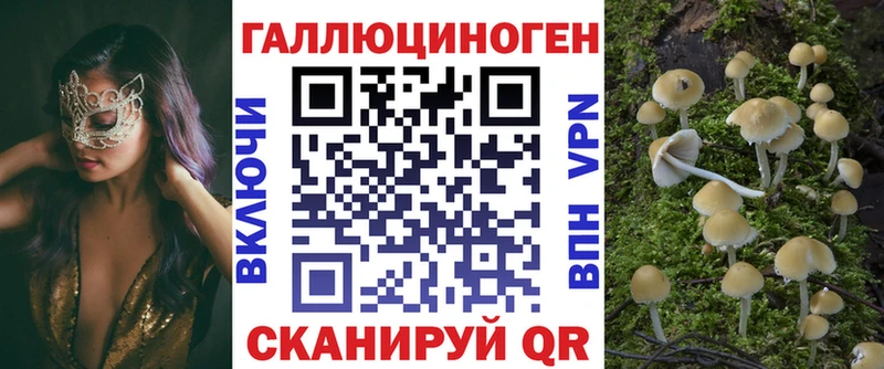 дарнет шоп  Озёрск  Псилоцибиновые грибы прущие грибы 